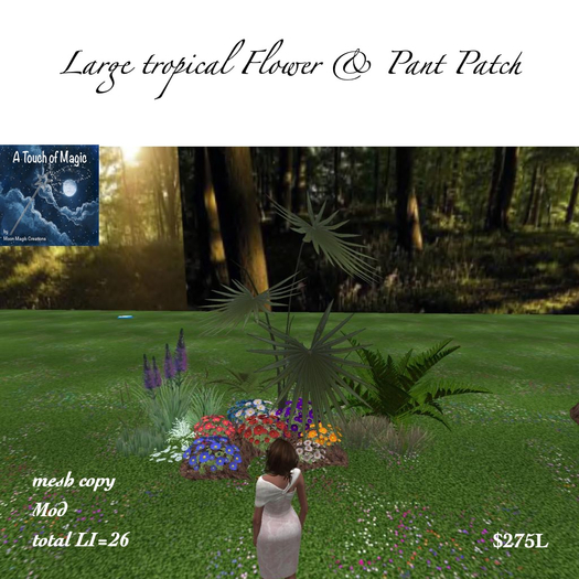 Large flower & plant patch=BOX
