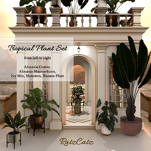 .: RatzCatz :. Tropical Plants Set I