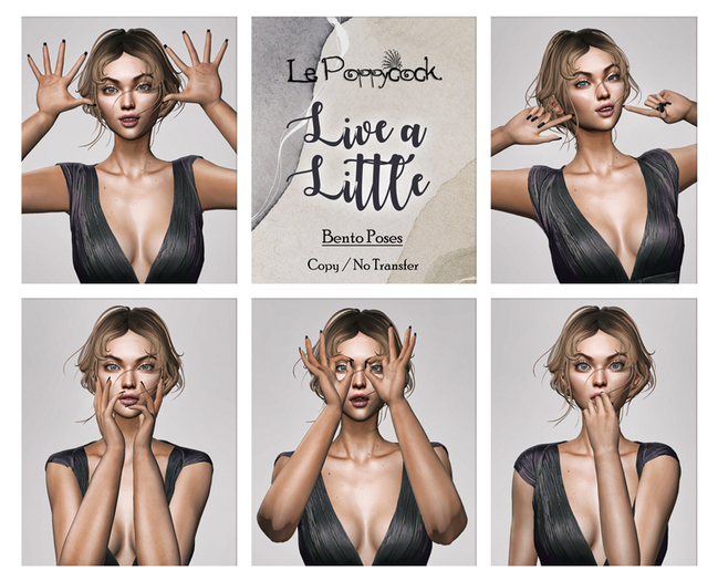 Le Poppycock *Live a Little* Bento Poses