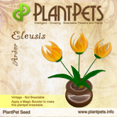 PlantPet Seed [Eleusis *Ardor*]