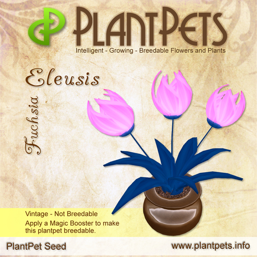 PlantPet Seed [Eleusis *Fuchsia*]