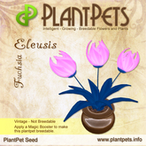 PlantPet Seed [Eleusis *Fuchsia*] rare elite vintage Release Year 2008