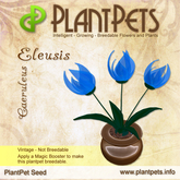 PlantPet Seed [Eleusis *Caeruleus*] common vintage  Release Year 2007