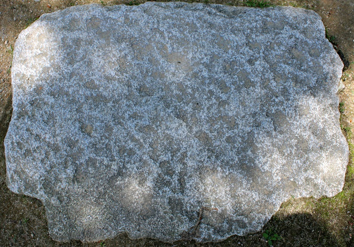 Stone Pathway Texture