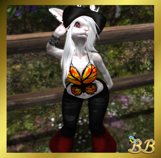 *BB* Equinox