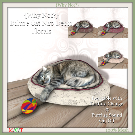 {Why Not?} Balure Cat Nap Decor-Florals-Boxed