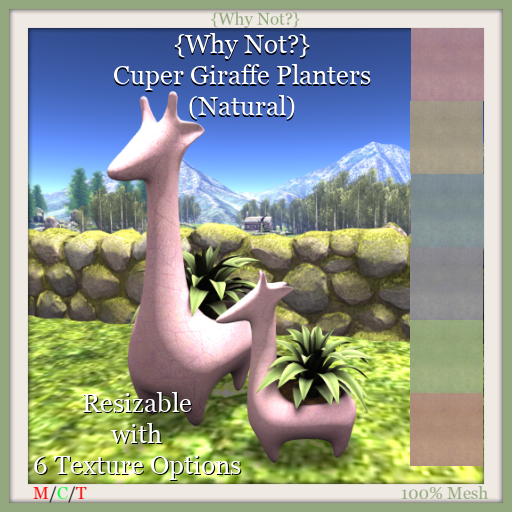 {Why Not?} Cuper Giraffe Planters (Natural)-Boxed