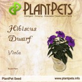 PlantPet Seed [Rose *Aztec Gold*]