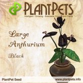 PlantPet Seed [Large Anthurium *Black*] common Release Year 2011