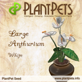 PlantPet Seed [Large Anthurium *White*]