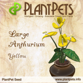 PlantPet Seed [Large Anthurium *Yellow*]