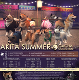 JIAN Akita Summer 13. Companion Yukata Pup SesameBOX