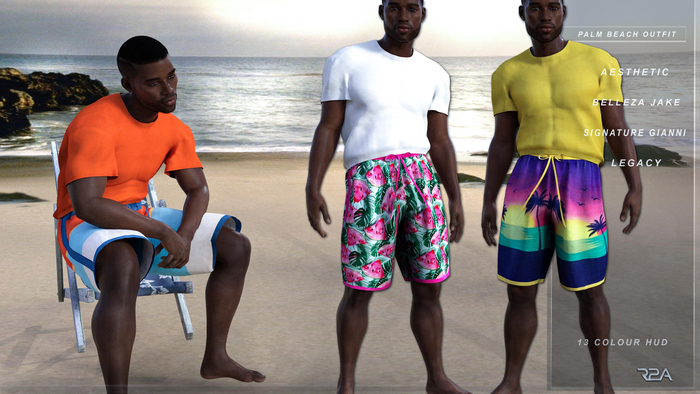 R2A-PALM BEACH OUTFIT W/HUD