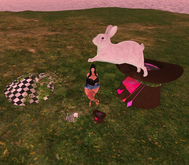 Wonderlishous Giant Mad Rabbit Package