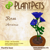 PlantPet Seed [Rosa *Arcanus*] 1