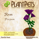 PlantPet Seed [Rosa *Purpura*]