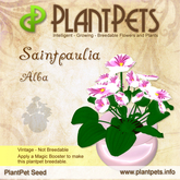 PlantPet Seed [Saintpaulia *Alba*]