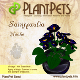 PlantPet Seed [Saintpaulia *Noche*] common vintage Release Year 2007