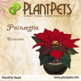 PlantPet Seed [Poinsettia *Crimson*] common Release Day 14.12.2011