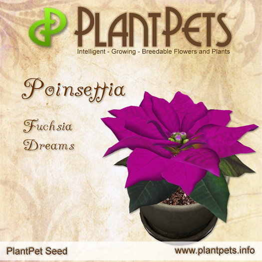 PlantPet Seed [Poinsettia *Fuchsia Dreams*] common Release Day 14.12.2011