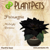 PlantPet Seed [Poinsettia *Midnight Dreams*] common Release Day 14.12.2011