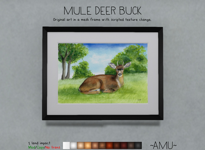 ~AMU~ Mule Deer Buck