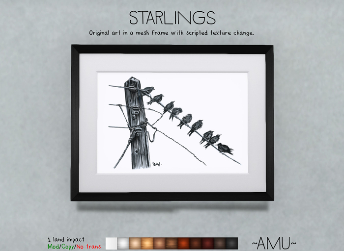 ~AMU~ Starlings - framed ink drawing