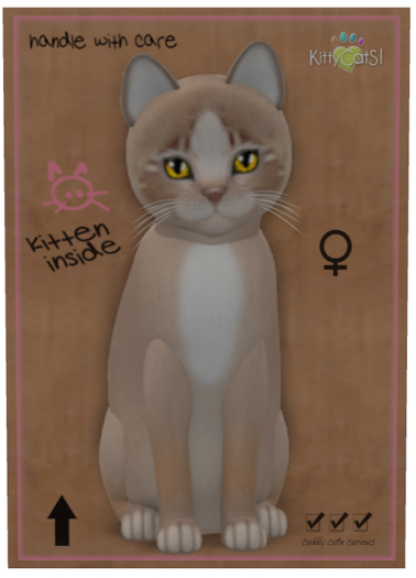 KittyCatS Box - Genesis - Mocha II - Toy
