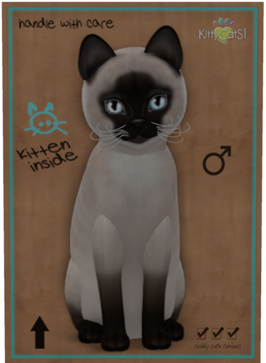 KittyCatS Box - Siamese - Seal