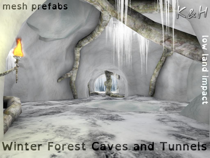 Winter Forest Caves and Tunnels