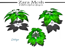 Zara Mesh - Plants - Listiya - FULL PERM MESH