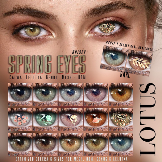LOTUS. Spring Eyes 13 BOX
