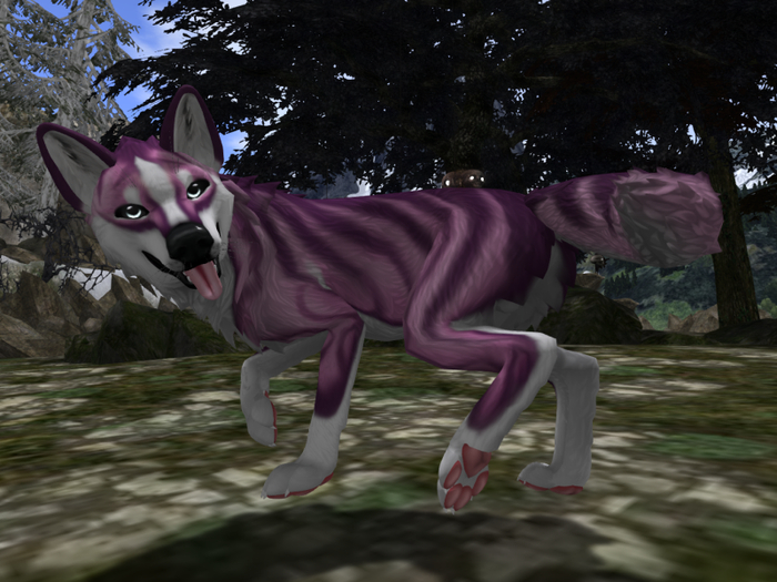 TWI Orchid Wolf Texture Applier