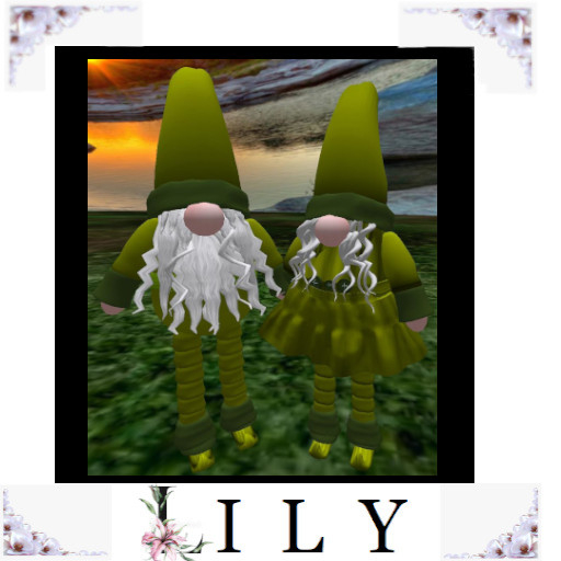  Forest Gonk couple