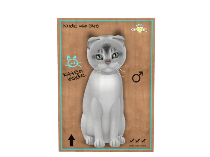 KittyCatS Box - 9T - M - Abyssinian - Black Silver