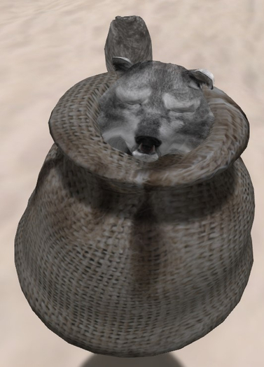 MALE WK RARE GHOST WOLF 79T G12 GREATER SUDBURY
