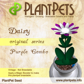 PlantPet Seed [Daisy *Original Purple Combo*]