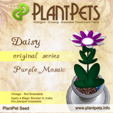 PlantPet Seed [Daisy *Original Purple Mosaic*]