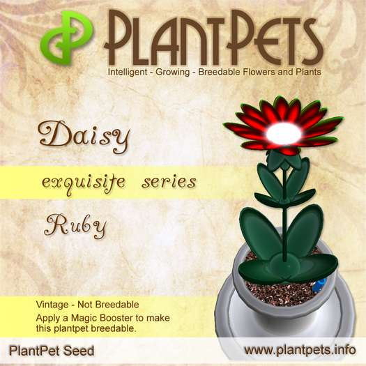PlantPet Seed [Daisy *Ruby*]