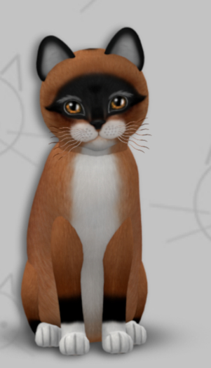 KittyCatS Box - Foxie Red Mask/3T/Male/CTF