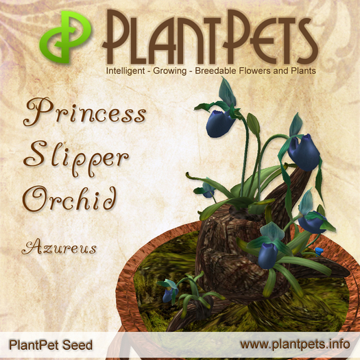 PlantPet Seed [Princess Slipper Orchid *Azureus*] common Release Year 2010