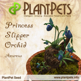 PlantPet Seed [Princess Slipper Orchid *Azureus*] common Release Year 2010