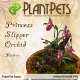 PlantPet Seed [Princess Slipper Orchid *Roseus*] common Release Year 2010