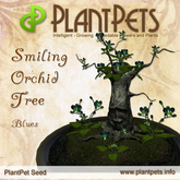 PlantPet Seed [Smiling Orchid Tree *Blues*]