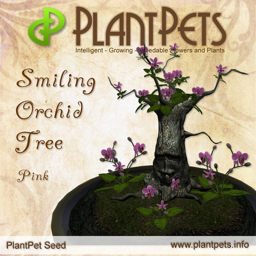 PlantPet Seed [Smiling Orchid Tree *Pink*] common Release Day 05.08.2012