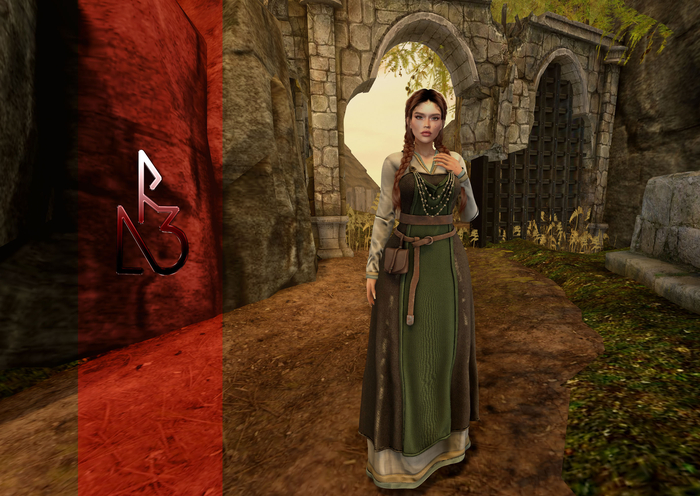 //R3D// Viking Dress Signy - Brown
