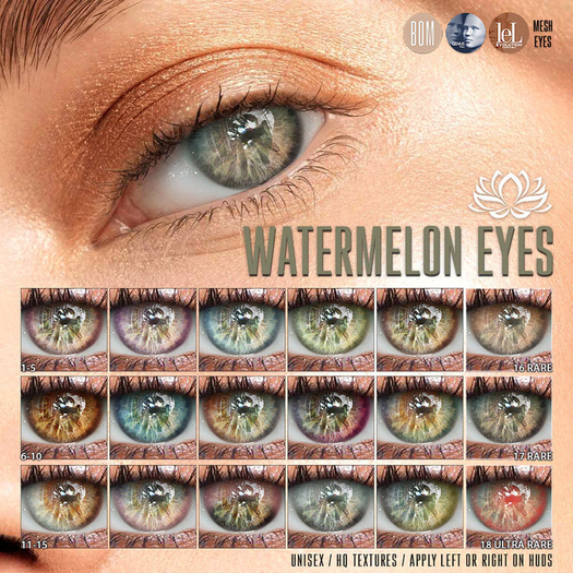 LOTUS. Watermelon Eyes 10 BOX