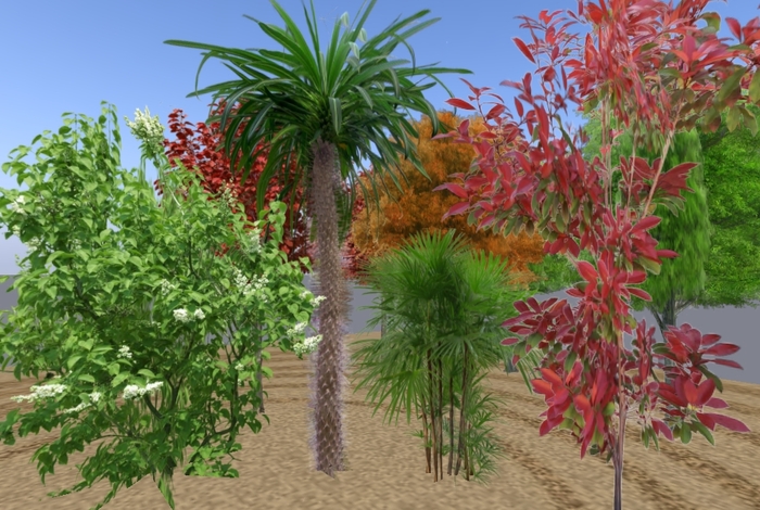 ASSORTED TREES SCULPTED