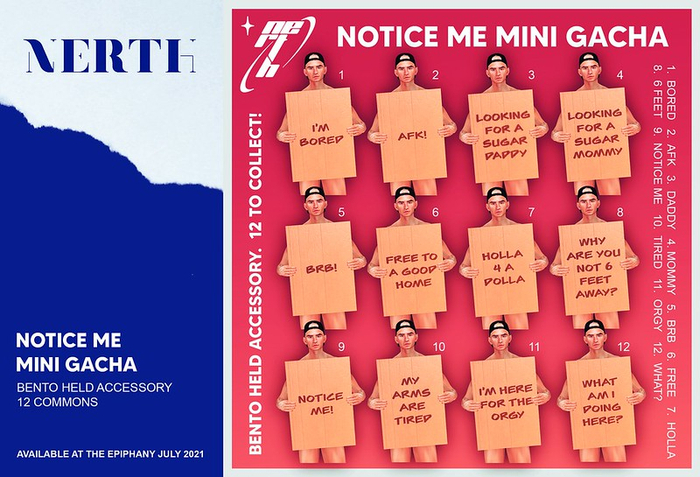 NERTH / NOTICE ME GACHA / HOLLA
