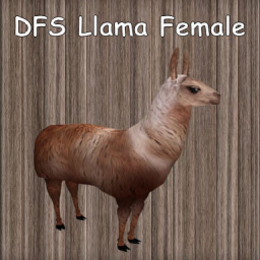 DFS Llama - Female